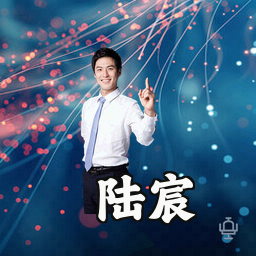 陆宸